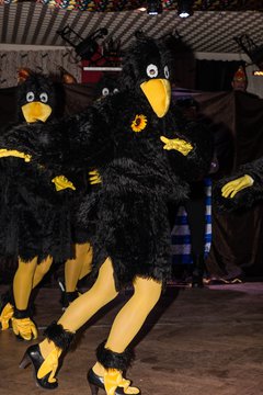 Bild 203 - Latuff Karnevalsveranstaltung Wiemersdorf